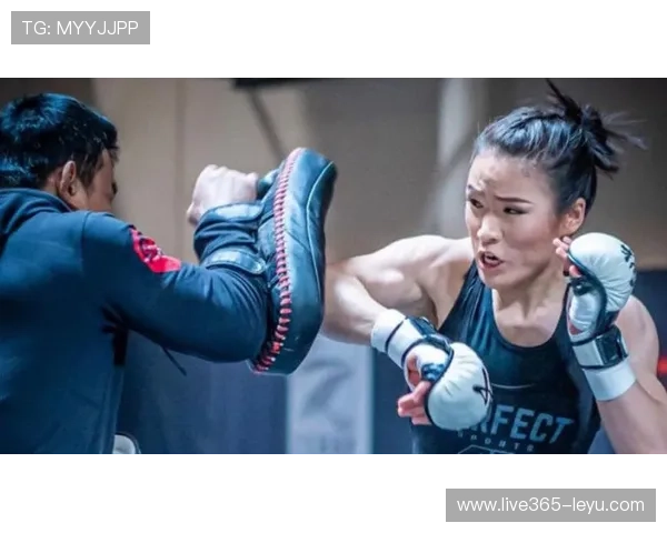 UFC历史KO率最高选手揭秘：铁拳之王的惊人战绩