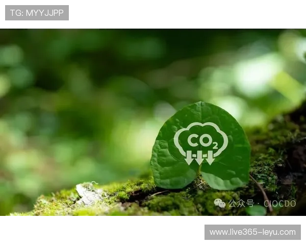 诺丁汉市公布未来十年城市发展蓝图，聚焦绿色转型与社区振兴